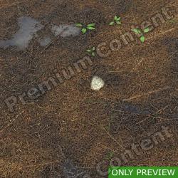 PBR Substance Material of Ground Forest Wet